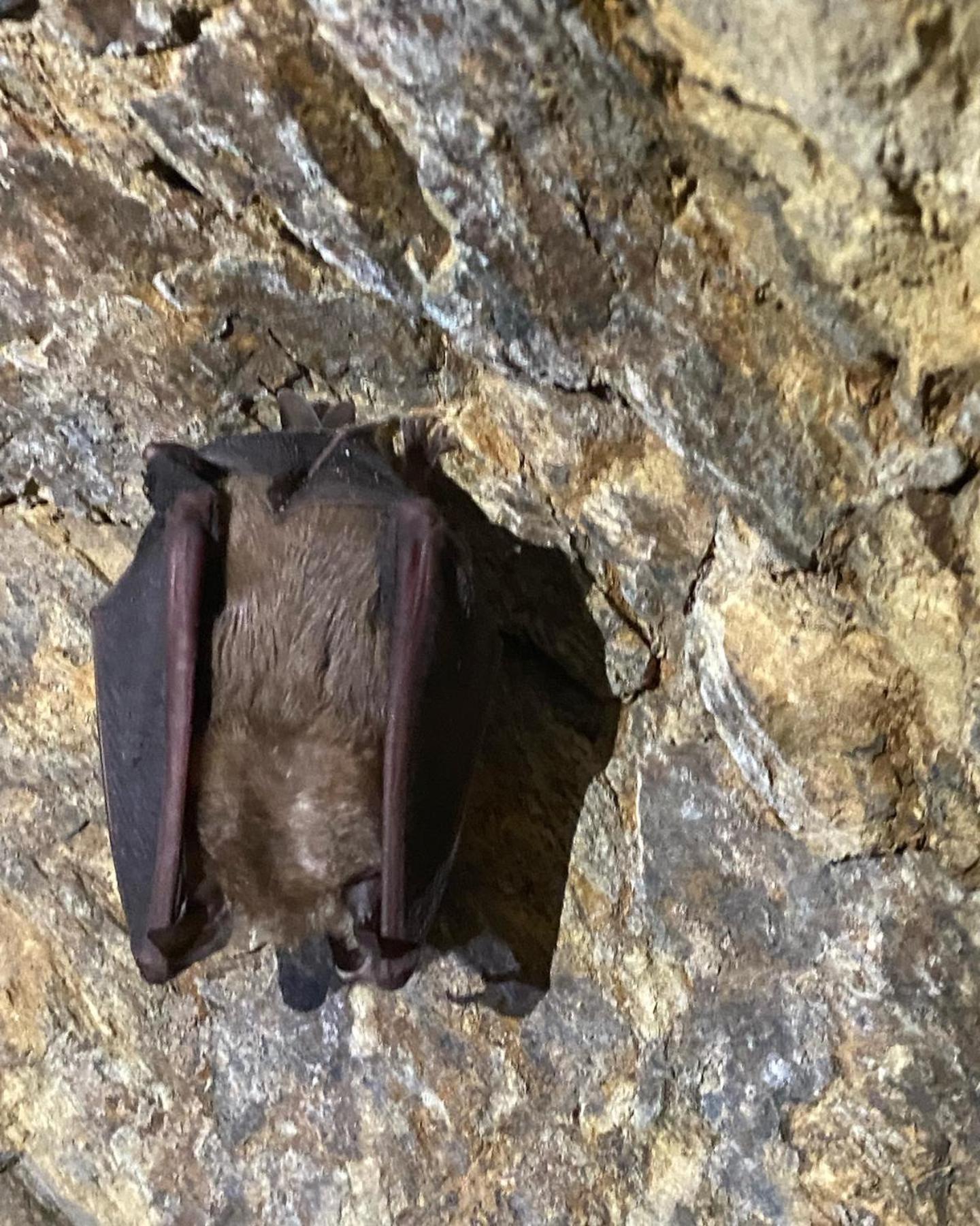 El Abigero II Villa La Fregeneda Dış mekan fotoğraf